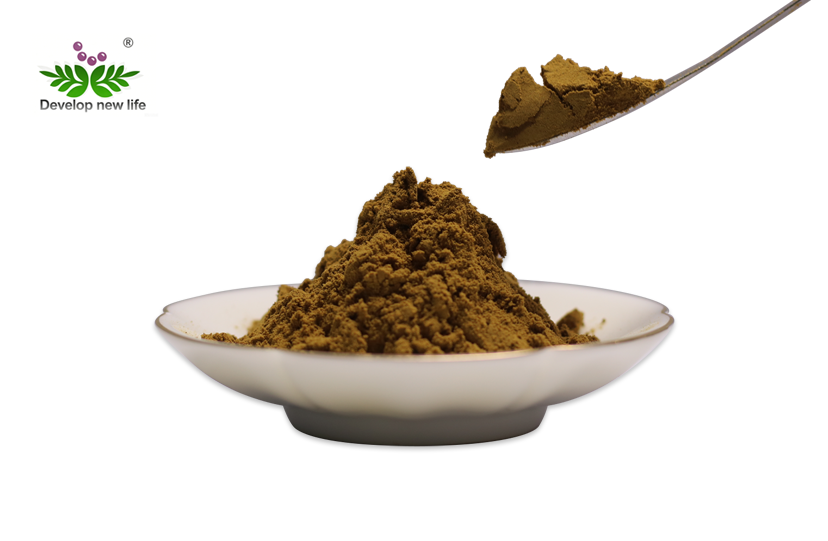 Organic Chaga Mushroom Extract